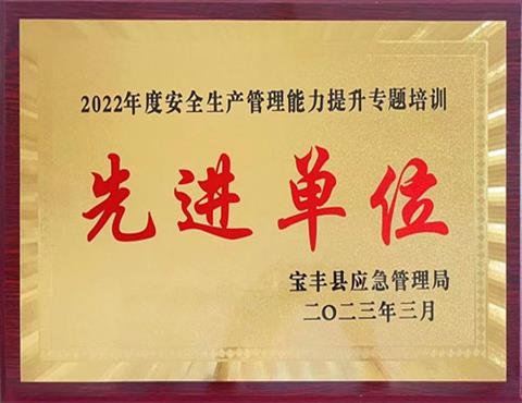 安全生產管理能力提升專題培訓先進單位                                